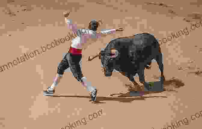 A Bull Charging At A Matador Why Business People Speak Like Idiots: A Bullfighter S Guide