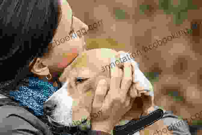 A Dog And Its Owner Embracing Eat Play Love (Your Dog): The Ultimate Guide For Every Dog Owner