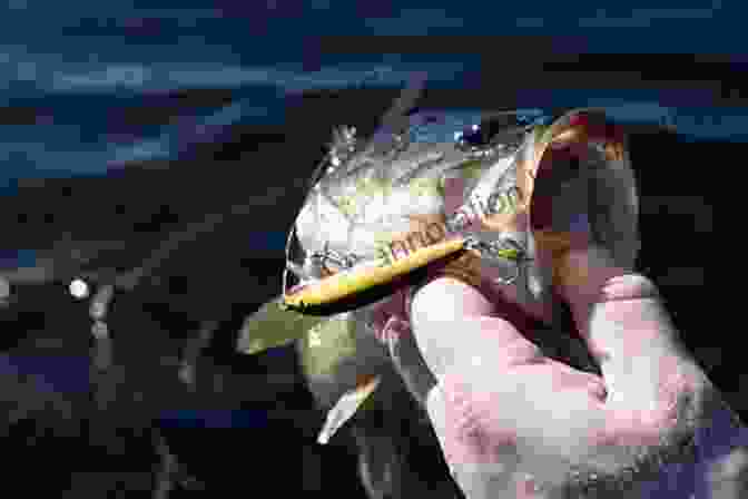 A Fisherman Holding A Large Bass Caught On A Crankbait Bass Fishing Tips: How To Catch Bass With Crankbaits