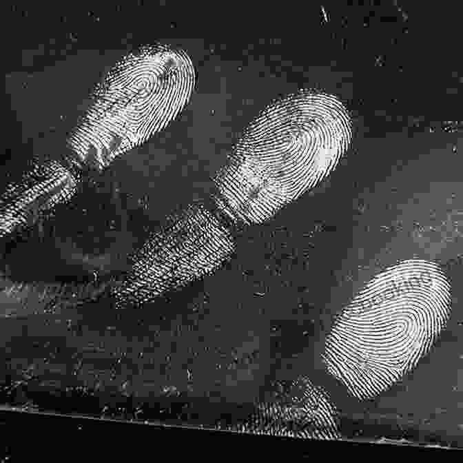 A Forensic Scientist Comparing Fingerprint Patterns Les Experts De La Police Technique Et Scientifique