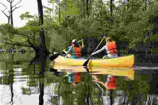 A Group Of Canoes Paddling Down A Scenic River They Shoot Canoes Don T They?