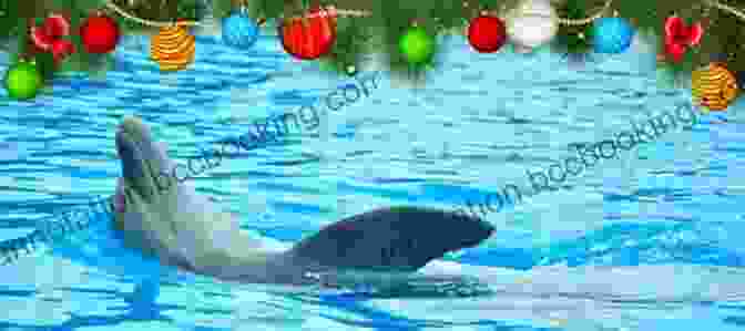 A Group Of People Celebrating Christmas With Dolphins Dolphin Spirit: A Christmas Novella (Dolphin Trainer Mysteries 3)