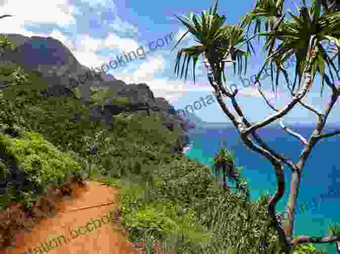 A Hiker On A Trail In Kauai Kauai Trails: Walks Strolls And Treks On The Garden Island (Kauai Trails: Walks Strolls Treks On The Garden Island)