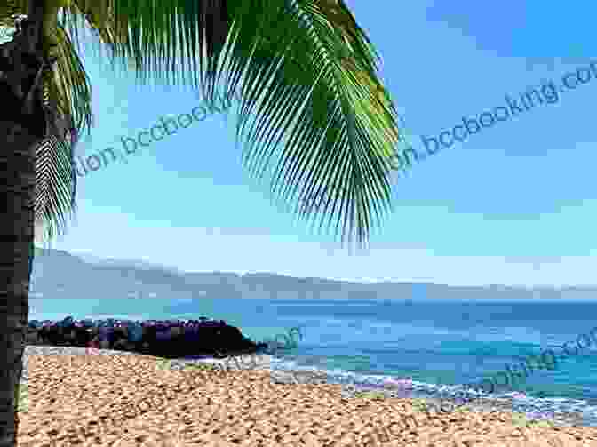 A Panoramic View Of Puerto Vallarta's Pristine Beach Boomers In Paradise: Living In Puerto Vallarta