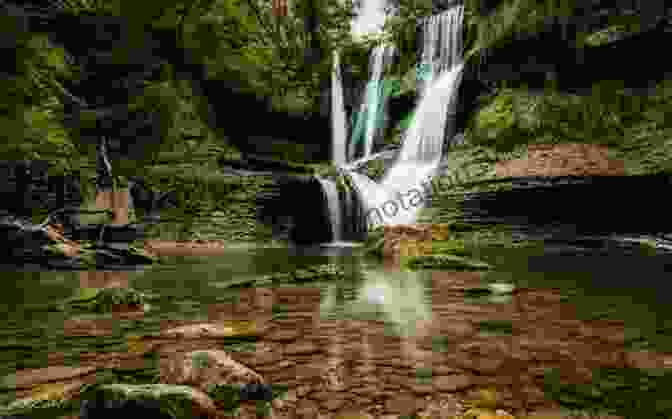 A Stunning Scene Of A Lush Forest, Crystal Clear Waterfalls Cascading Into A Turquoise Lake, Surrounded By Vibrant Flora And Fauna Adventure Of The Water Walker