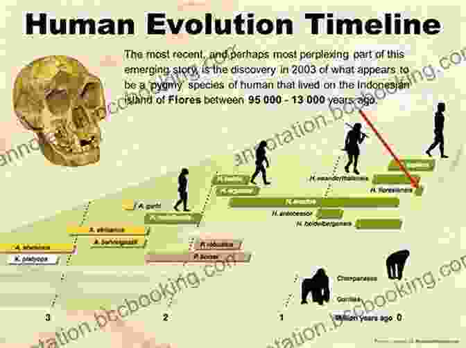 A Timeline Depicting The History Of Human Evolution Transcendence: How Humans Evolved Through Fire Language Beauty And Time