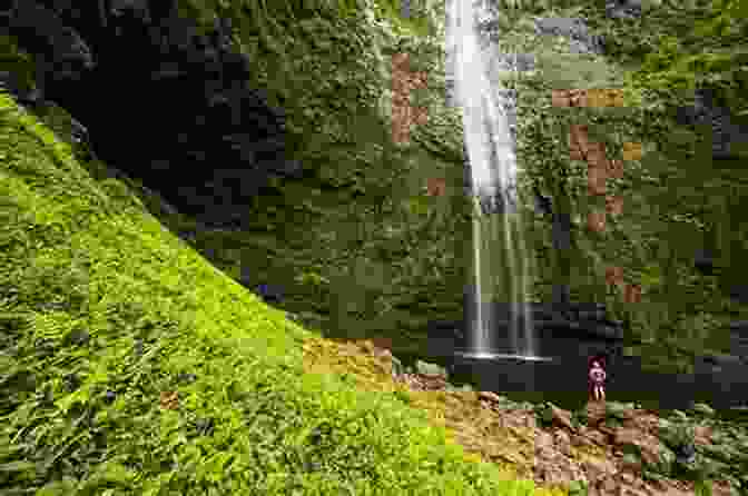 A Waterfall On A Trail In Kauai Kauai Trails: Walks Strolls And Treks On The Garden Island (Kauai Trails: Walks Strolls Treks On The Garden Island)