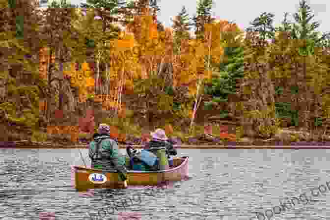 Canoeing Through The Tranquil Waters Of Quetico Provincial Park Quetico: Near To Nature S Heart