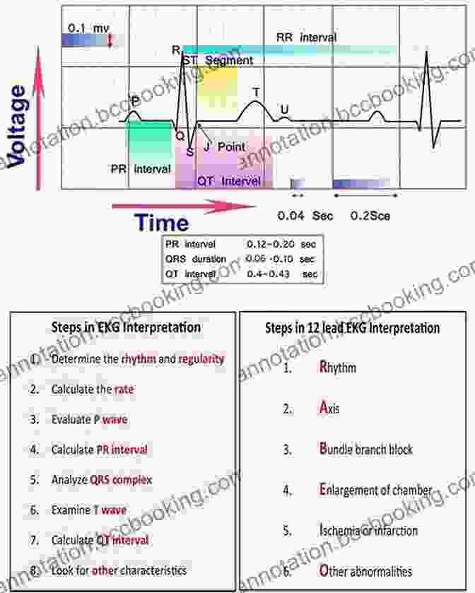 Clinical Case Studies ECG / EKG Interpretation: A Systematic Approach To Read A 12 Lead ECG And Interpreting Heart Rhythms In 15 Seconds Or Less Without Memorization
