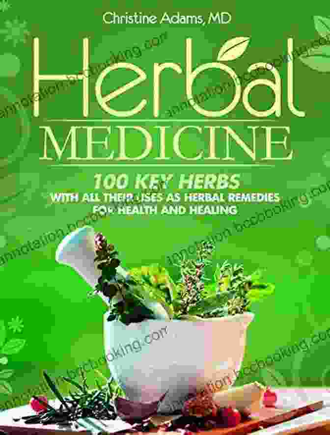 Cover Of '100 Medicinal Herbs And How To Use Them' The Herbal Apothecary: 100 Medicinal Herbs And How To Use Them
