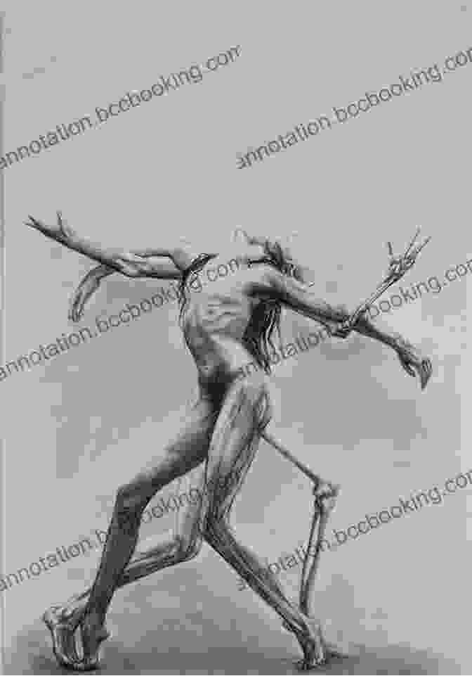 Detailed Anatomical Illustration Of A Dancer Dance Anatomy Patrick F McManus