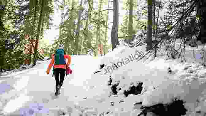 Explorer Trekking Through Snowy Wilderness Winter In The Wilderness: A Field Guide To Primitive Survival Skills