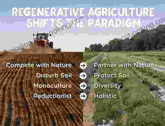Group Of Farmers And Community Members Engaged In Regenerative Agriculture Practices Dirt To Soil: One Family S Journey Into Regenerative Agriculture