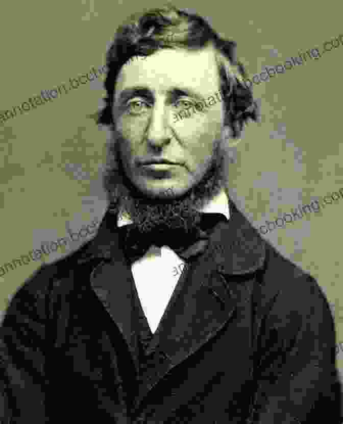 Henry David Thoreau During His Time At Harvard College A Mind With Wings: The Story Of Henry David Thoreau