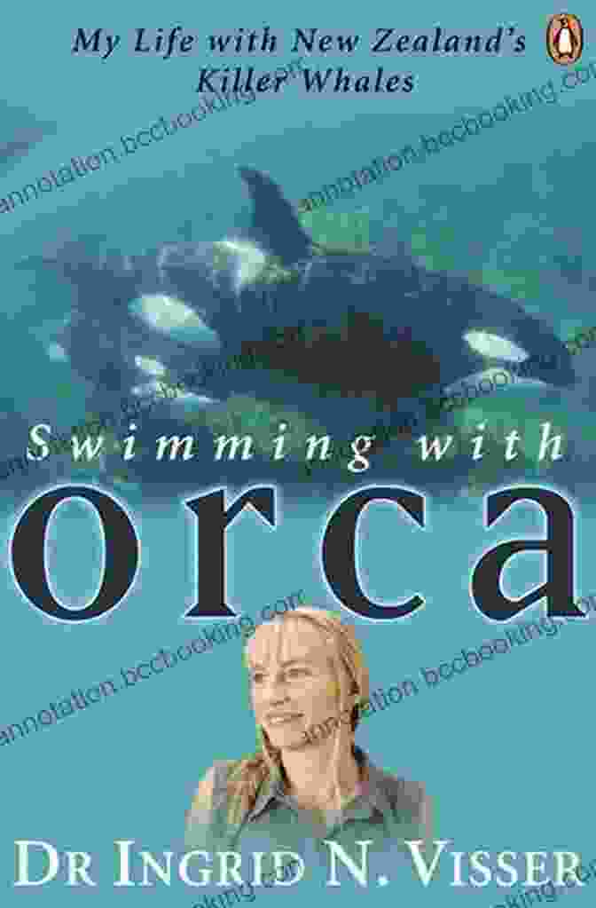 Lost Orca Currents Book Cover Featuring A Young Girl And An Orca Swimming Together In The Ocean Lost (Orca Currents) John Wilson