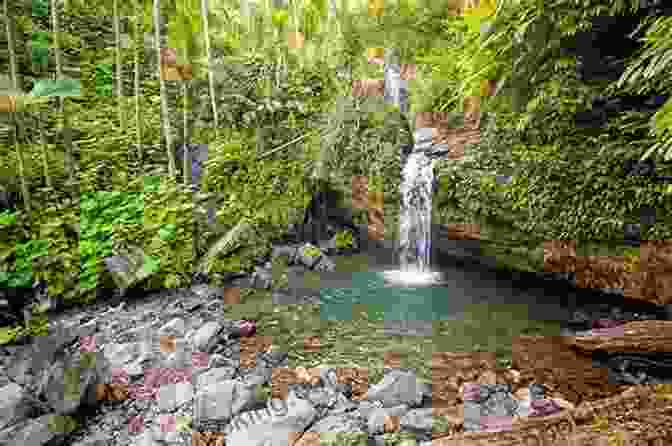 Lush Vegetation And Cascading Waterfalls Within El Yunque Rainforest Puerto Rico Beach By Beach (Travel Guide): Discover The Best Beaches In The Caribbean One Beach At A Time