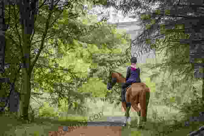 Misty And Maureen Riding Through The Forest Runaway Pony (Marguerite Henry S Misty Inn 3)