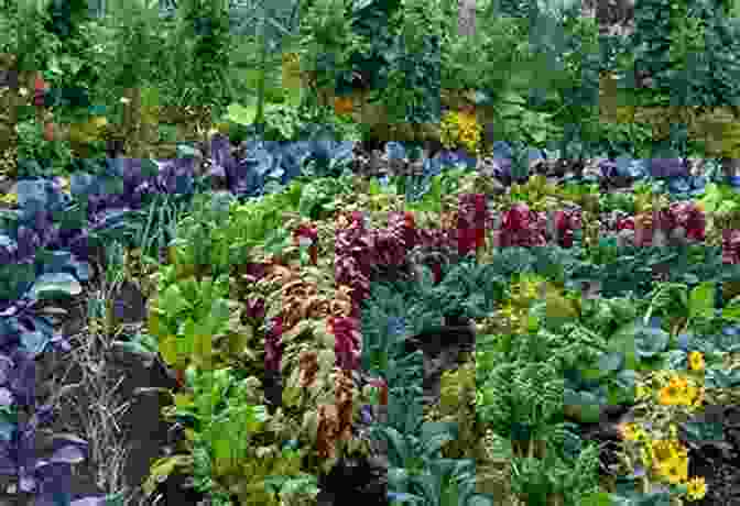 Photo Of A Thriving Organic Garden With Lush Vegetables And Flowers. Raised Bed Garden And Companion Planting For Beginners: 2 IN 1: The Ultimate Guide To Growing Organic Vegetables And Plants Tips Tricks To Help Gardeners (Green Thumb Collection 3)