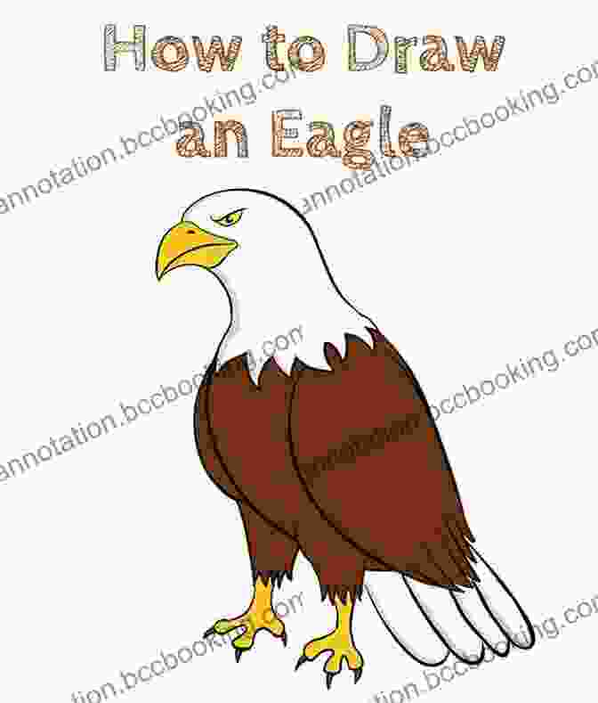Step By Step Drawing Of An Eagle HOW TO DRAW ANIMALS: A Simple Way On How To Draw Animals For Beginners