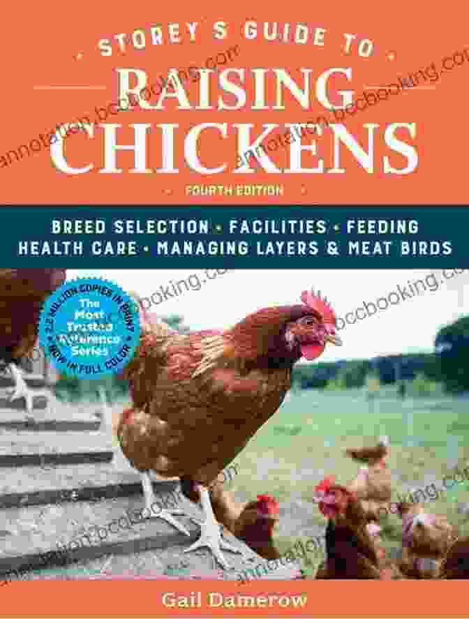 Storey Guide To Raising Chickens 4th Edition, A Comprehensive Guide To Poultry Raising Storey S Guide To Raising Chickens 4th Edition: Breed Selection Facilities Feeding Health Care Managing Layers Meat Birds (Storey S Guide To Raising)