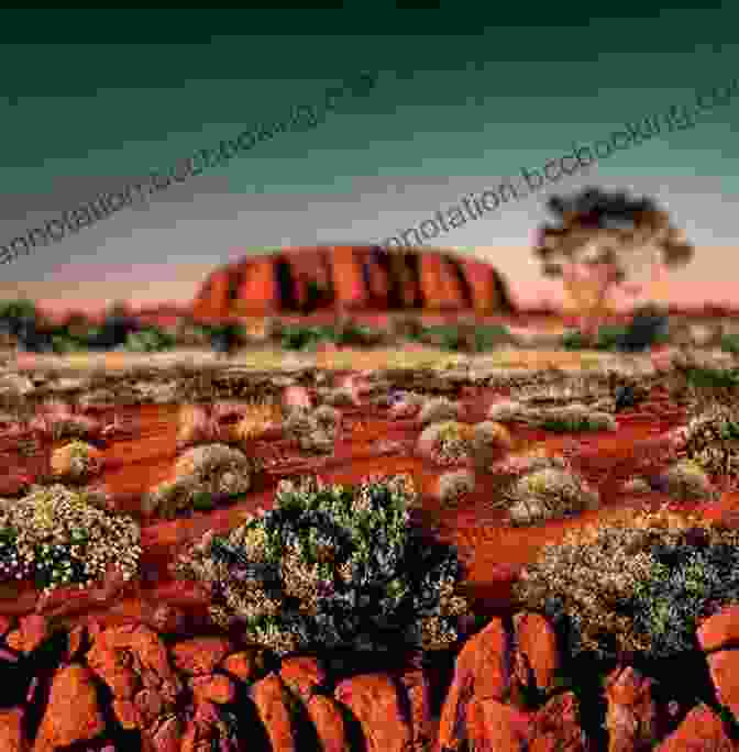 Uluru (Ayers Rock) At Sunset Frommer S Australia (Complete Guides) Lee Mylne