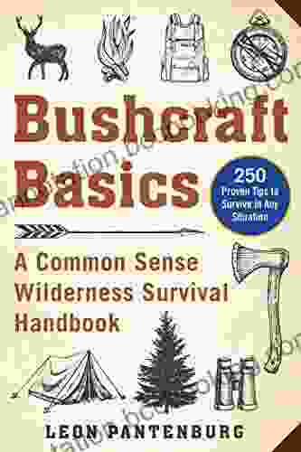 Bushcraft Basics: A Common Sense Wilderness Survival Handbook
