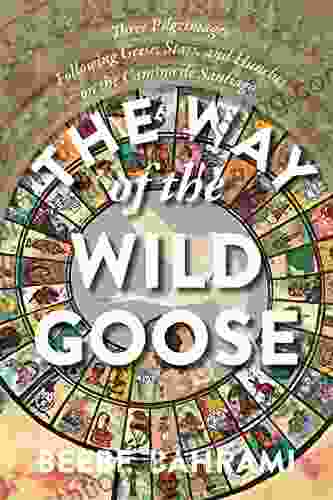 The Way Of The Wild Goose: Three Pilgrimages Following Geese Stars And Hunches On The Camino De Santiago In France And Spain