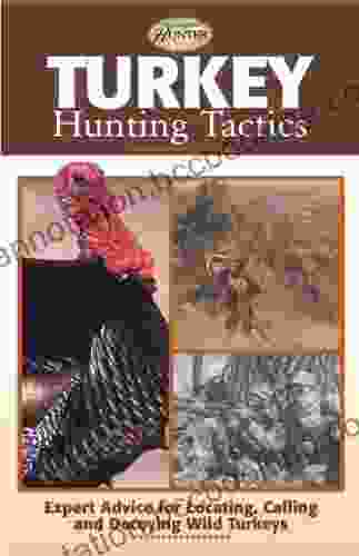 Turkey Hunting Tactics: Expert Advice For Locating Calling And Decoying Wild Turkeys (The Complete Hunter)