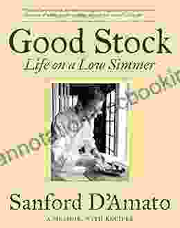 Good Stock: Life On A Low Simmer