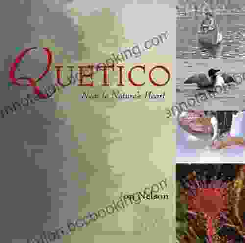 Quetico: Near To Nature S Heart