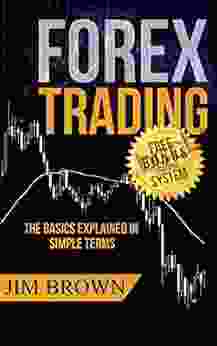 Forex Trading: The Basics Explained In Simple Terms (Bonus System Incl Videos): The Bonus System Includes His Personal Indicators In MT4/MT5 And TradingView Stocks Currency Trading Bitcoin 1)