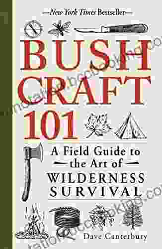 Bushcraft 101: A Field Guide To The Art Of Wilderness Survival