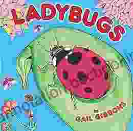 Ladybugs Gail Gibbons
