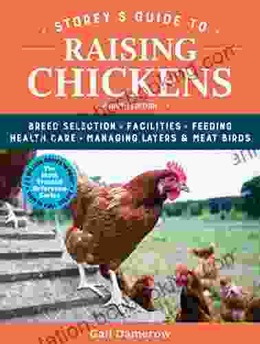 Storey S Guide To Raising Chickens 4th Edition: Breed Selection Facilities Feeding Health Care Managing Layers Meat Birds (Storey S Guide To Raising)