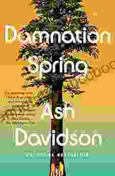 Damnation Spring Ash Davidson