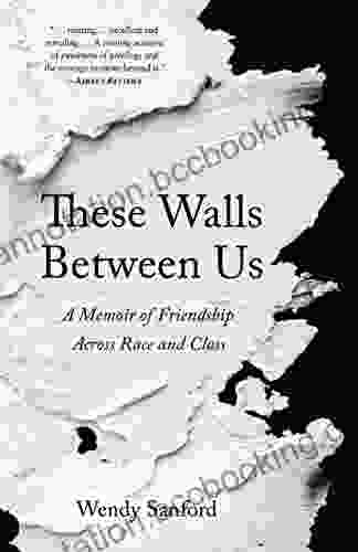 These Walls Between Us: A Memoir Of Friendship Across Race And Class
